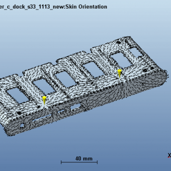 skin_orientation